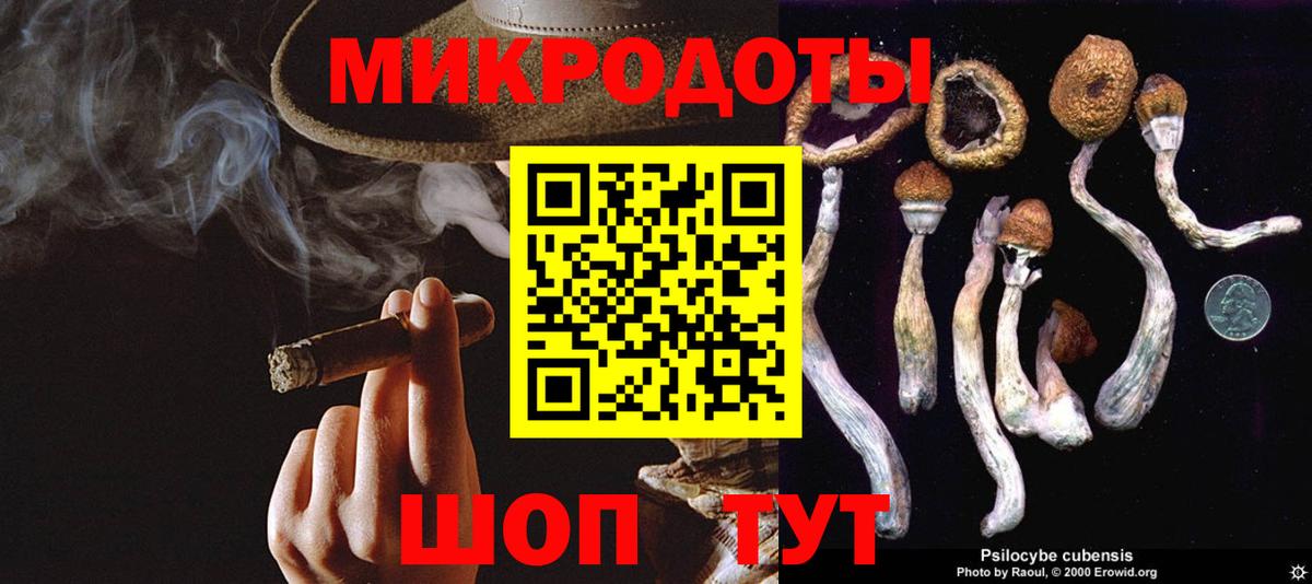 Галлюциногенные грибы мухоморы Красногорск