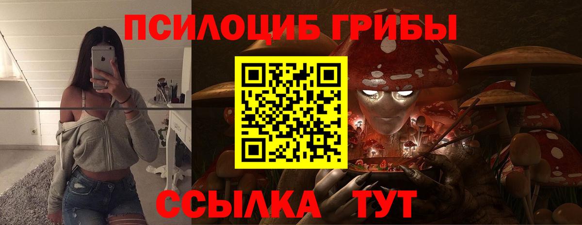Псилоцибиновые грибы прущие грибы  Вход с VPN  Красногорск 