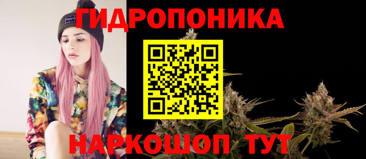 Марихуана сатива Красногорск